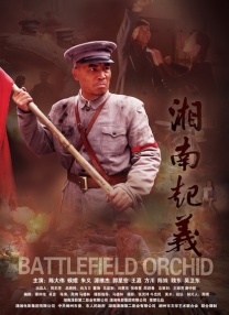 国内一级片